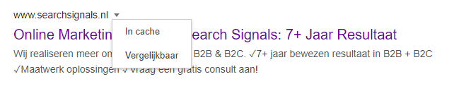 website-gecrawld-google-in-cache