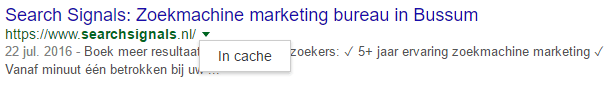 Google-cache-voorbeeld